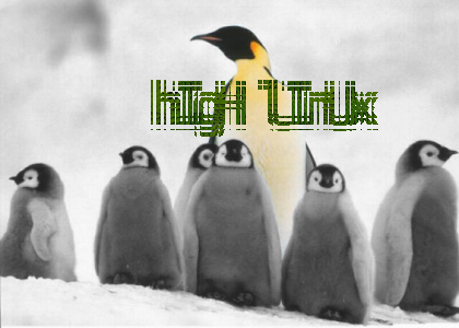 high linux